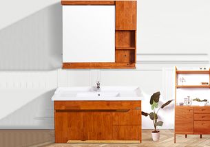 家仕堂卫浴 品质、设计与服务全方位解析